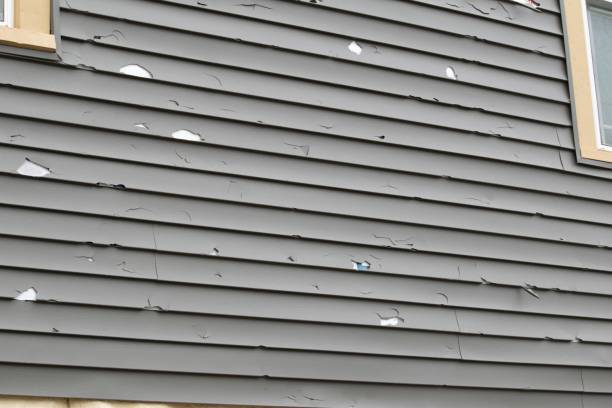 Best Hoarding Cleanup  in Burgin, KY